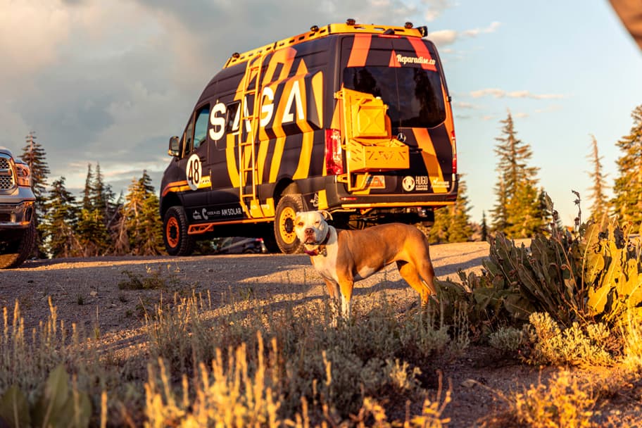SAGA Team Van — photo 3