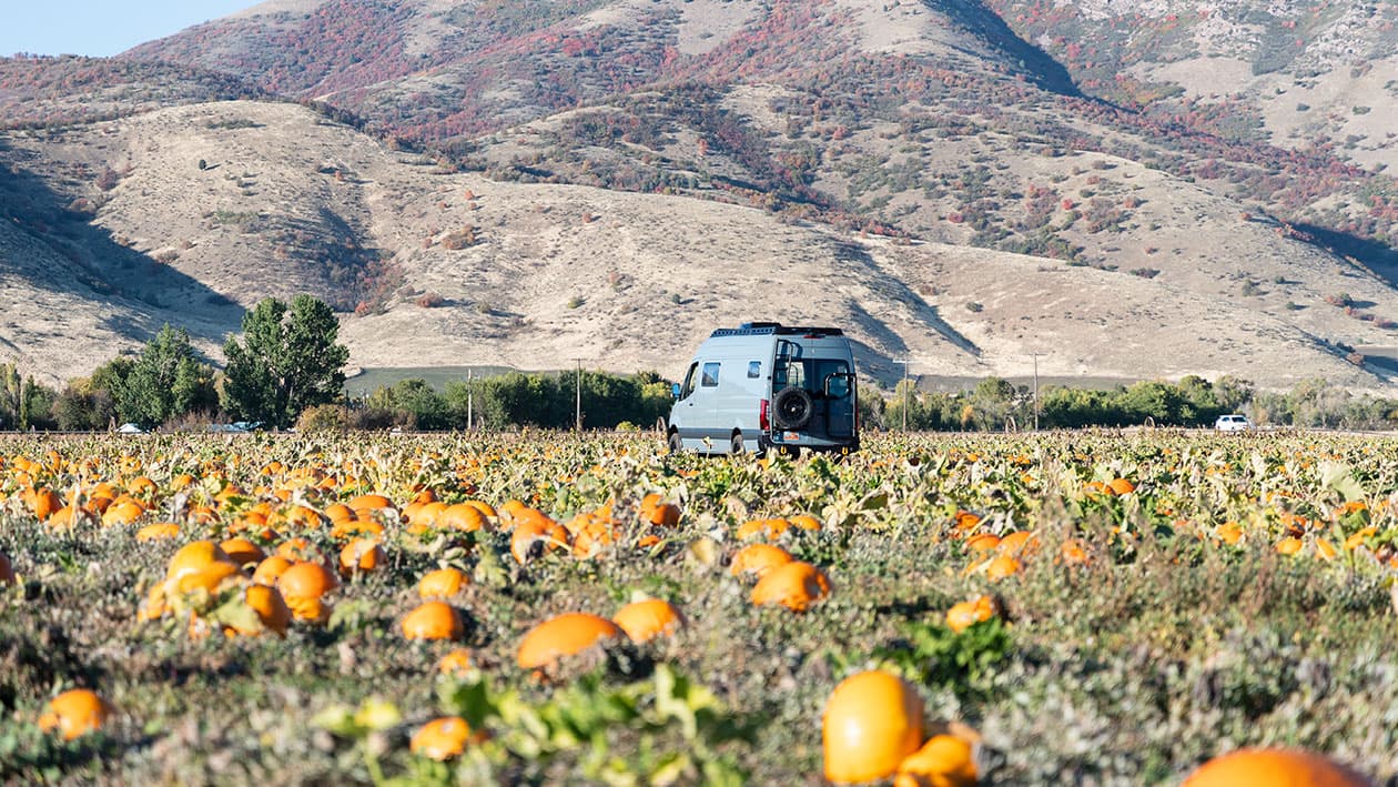 Beehive Cheese Sprinter Camper